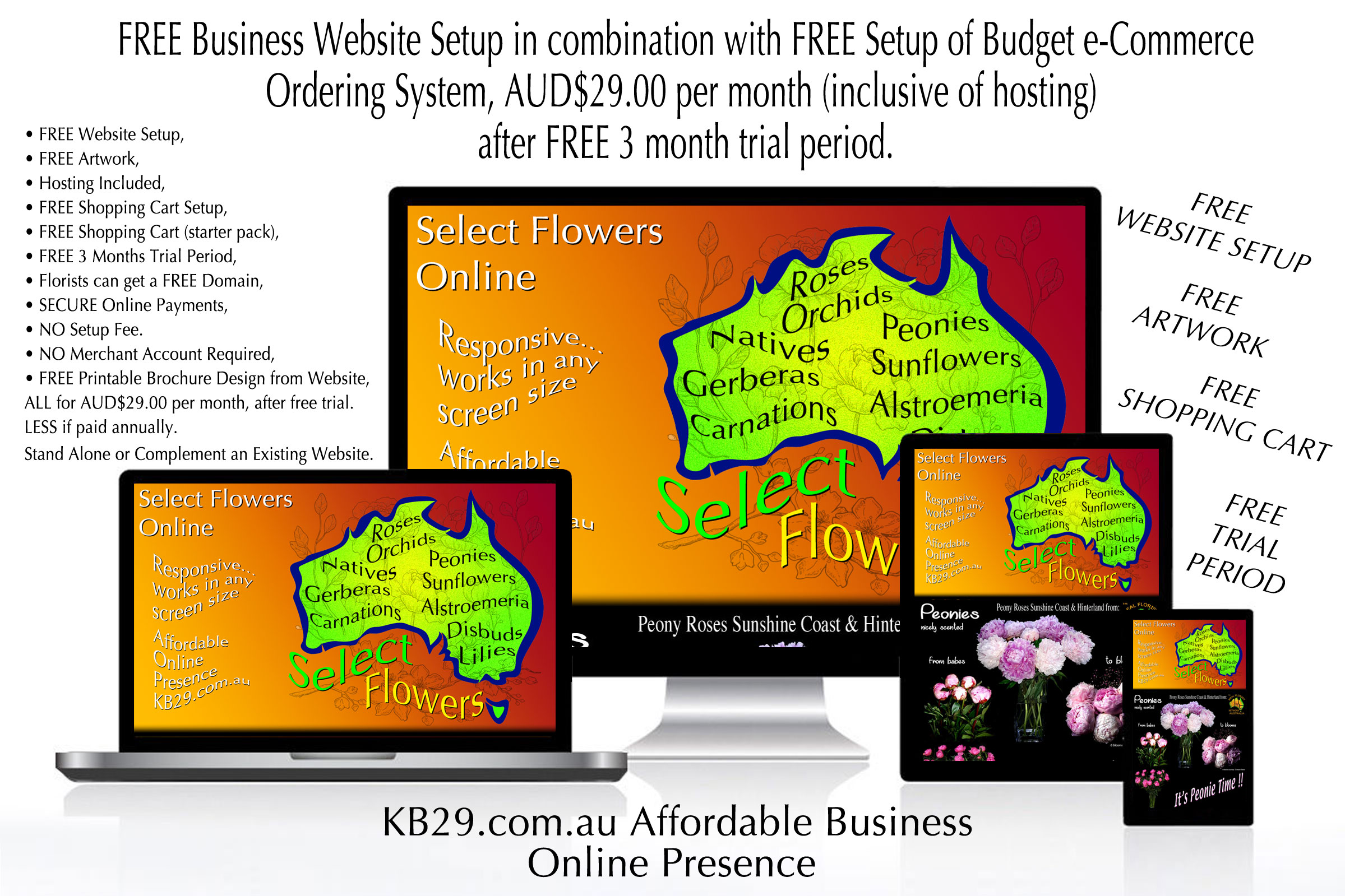 FREE WEBSITE and ONLINE SHOPPING SETUPS with KB29